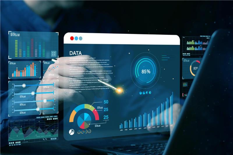 Person using a computer with data analytics software on the screen